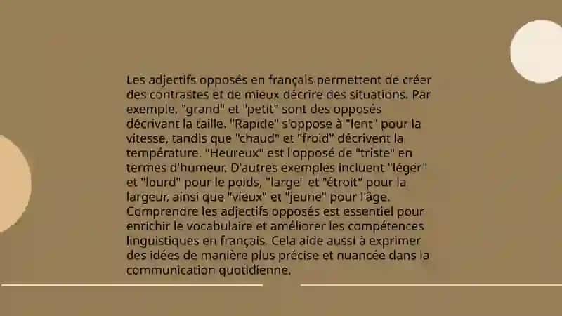 Le Gerondif slayd 4