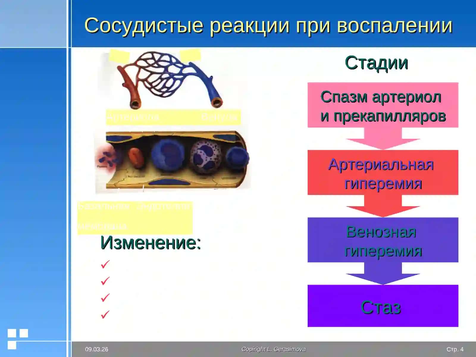 Экссудация 4