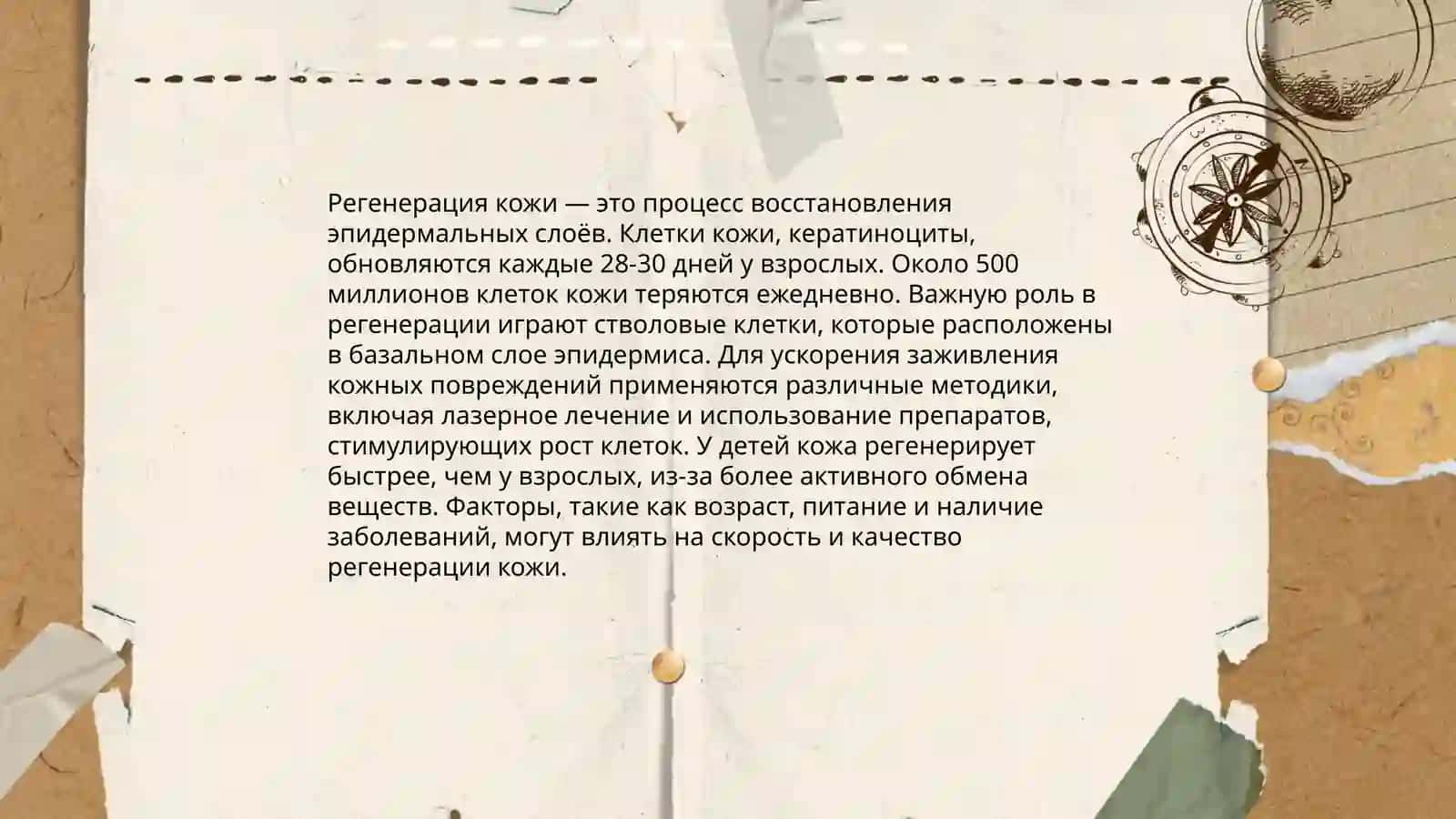 Регенирация 4