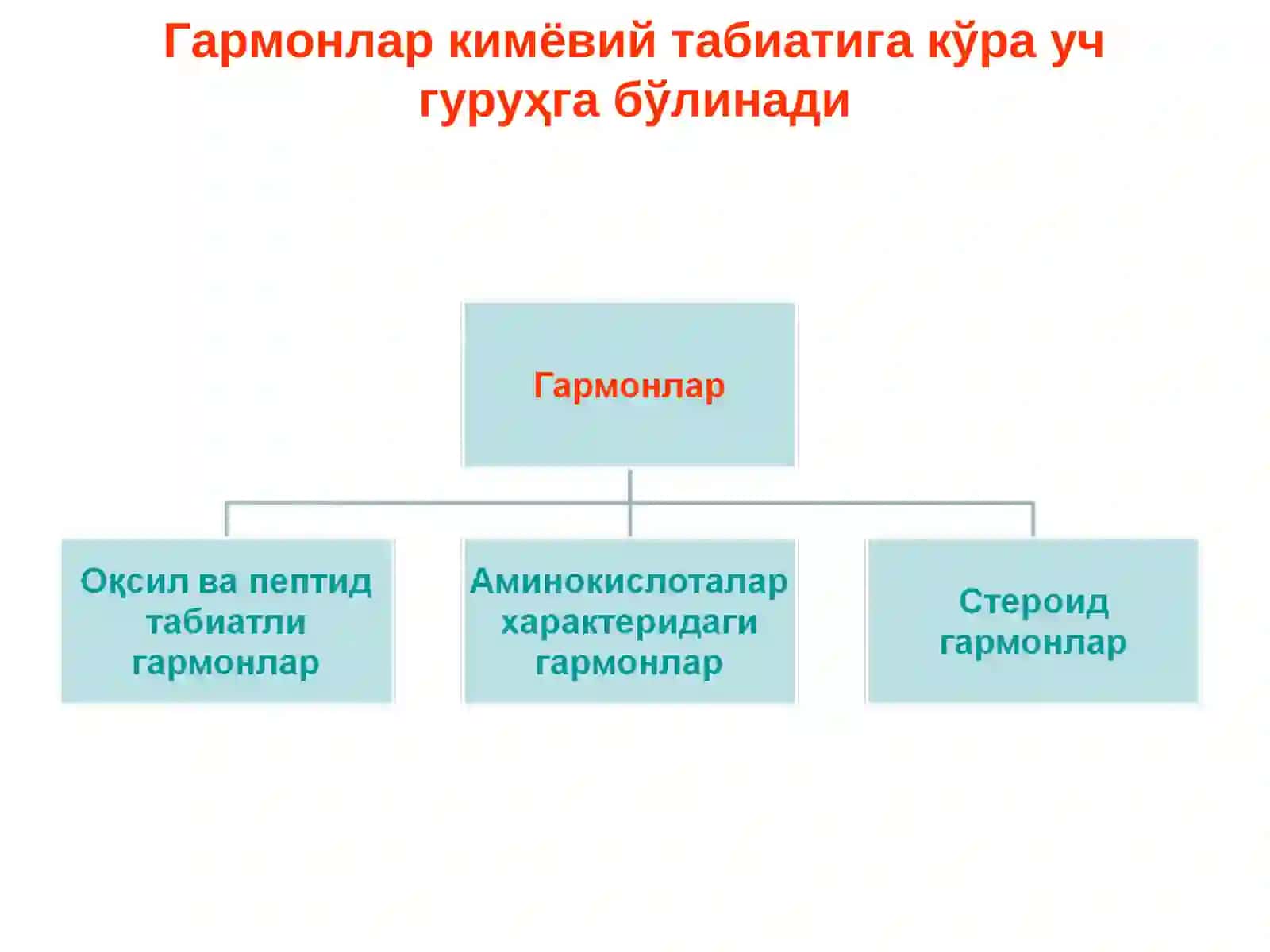 ГОРМОНЛАР 4