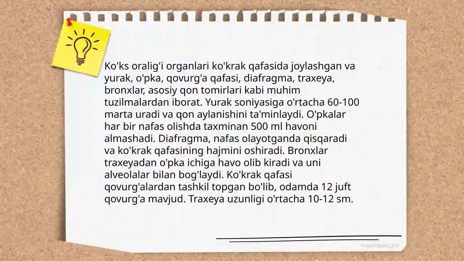 KO’KS ORALIG’I 4