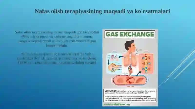 Nafas olish fiziologiyasi va patofiziologiyasi 4