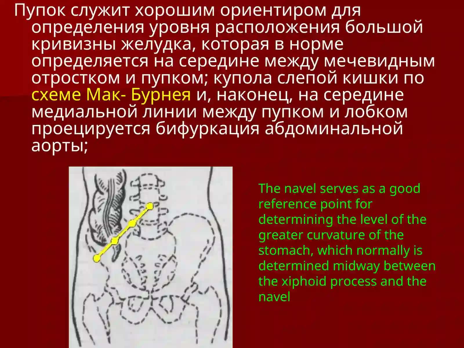 LECTURE-2 4