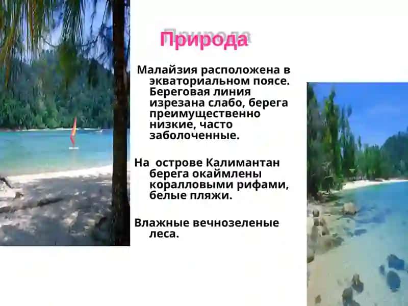 Малайзия 4