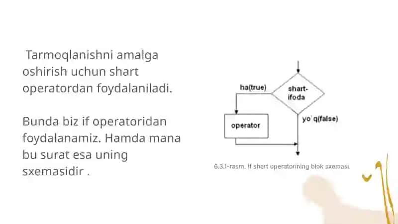 Python dasturlash tilining if operatori 4