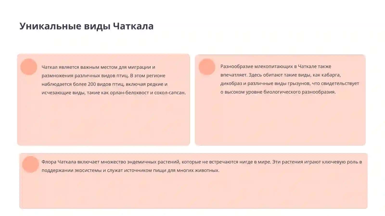 Чаткал 4