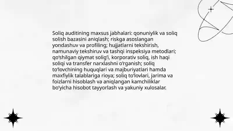 Moliyaviy auditning maxsus jabhalari 4