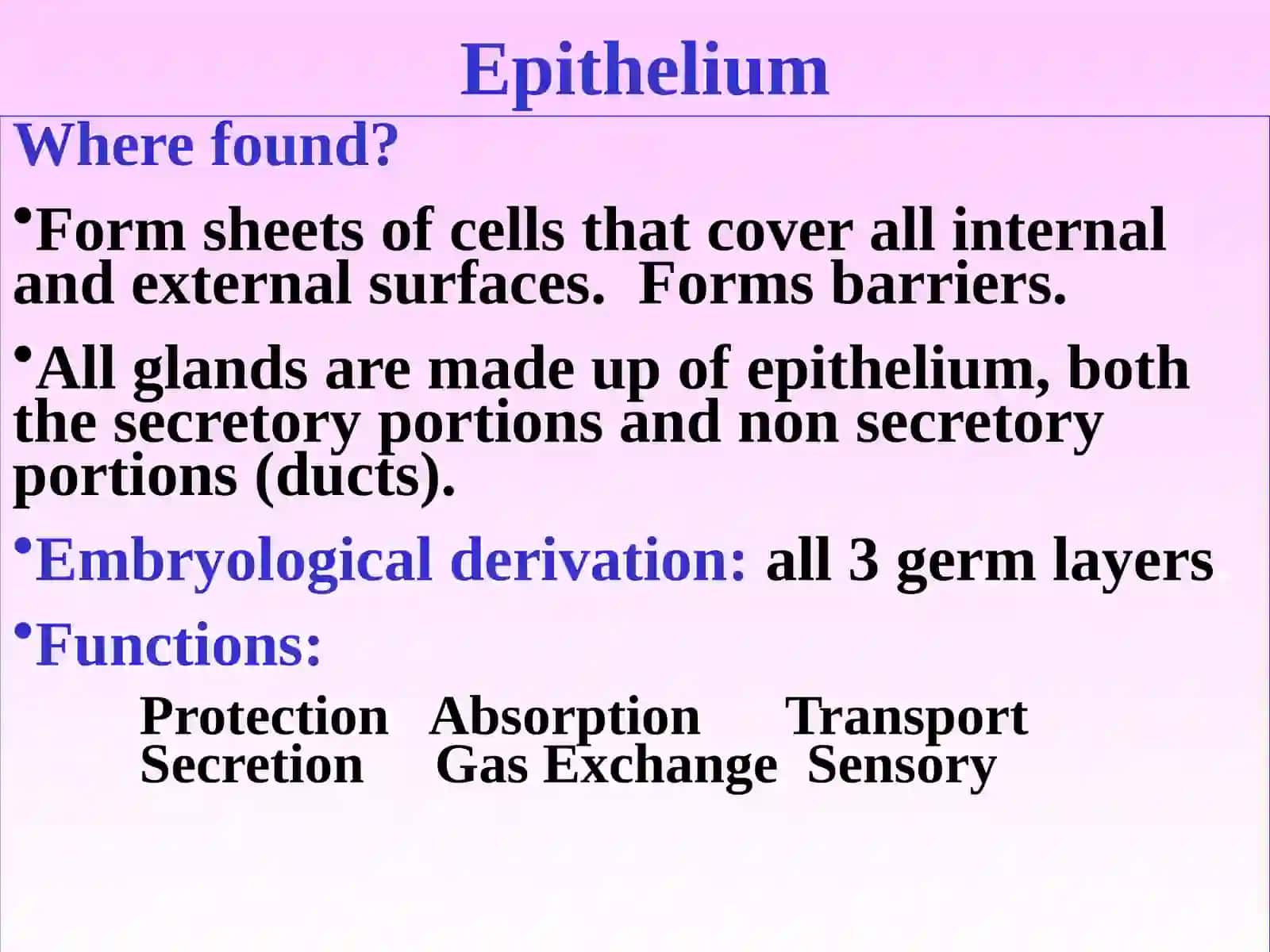 EPITHELIUM 4