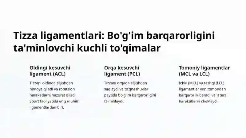 Tizza bo'g'imi 4
