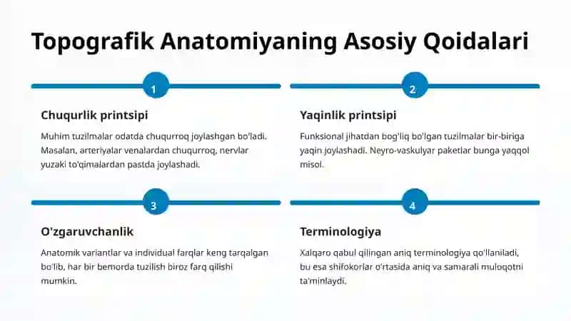 Topografik Anatomiya 4