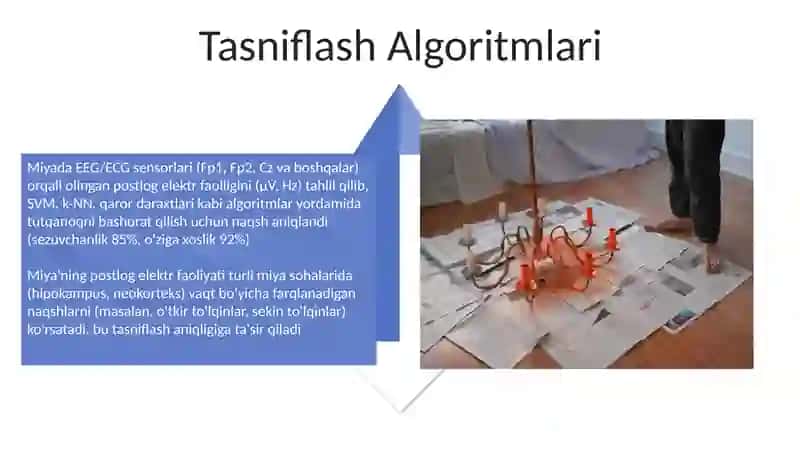 Miya po'stlog'ining elektr faolligi 4