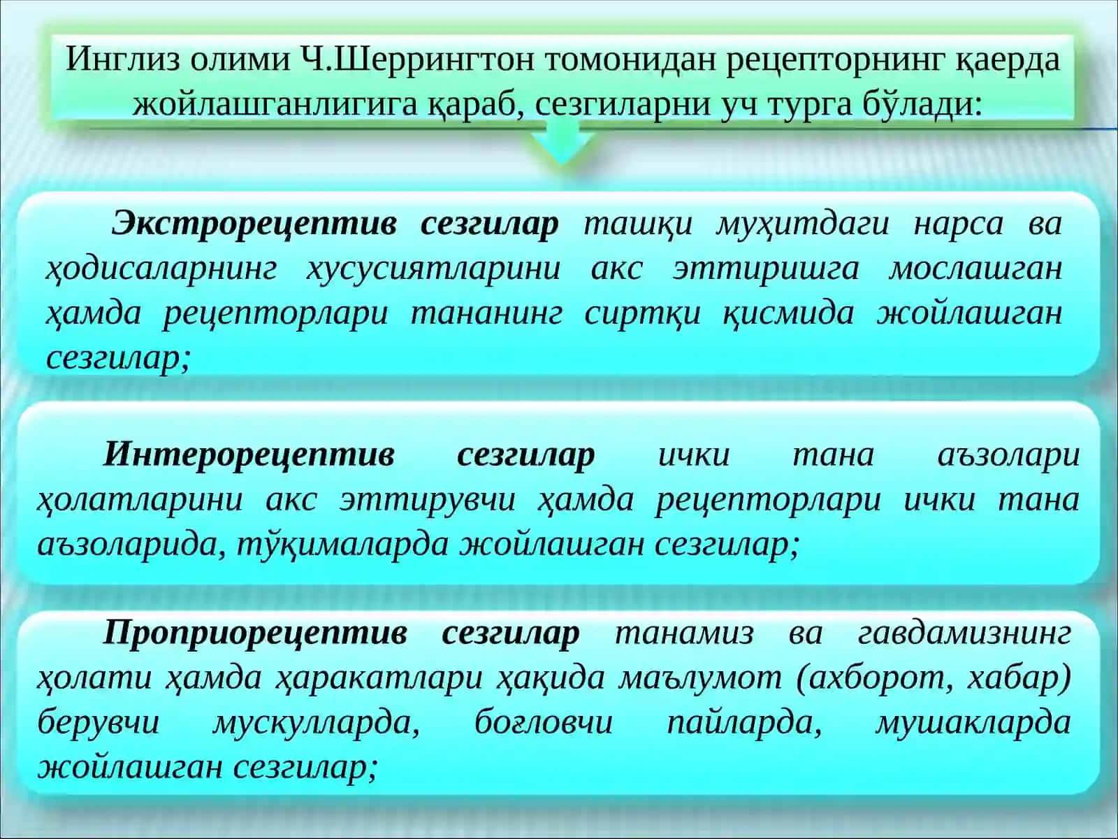 Сезги 4