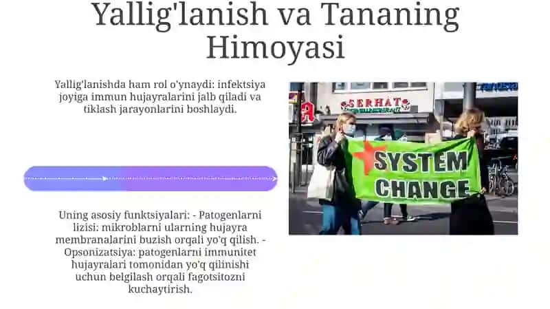 Komplement tizimning vazifalari 4