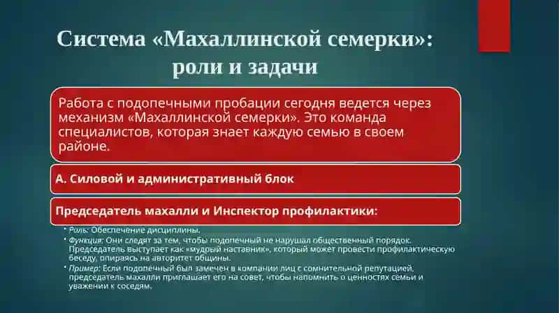Система «Махаллинскойсемерки» 4