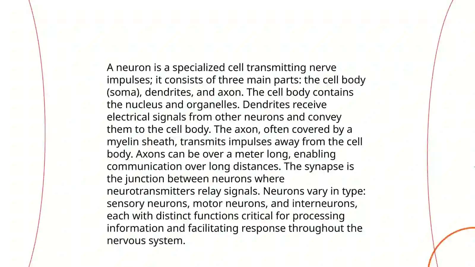 Brain and a nervous system 4