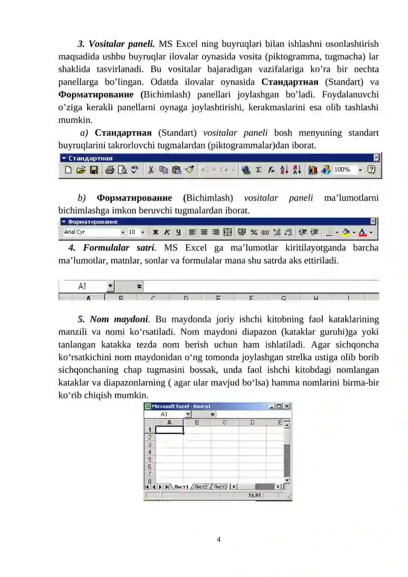 MS Excel 4