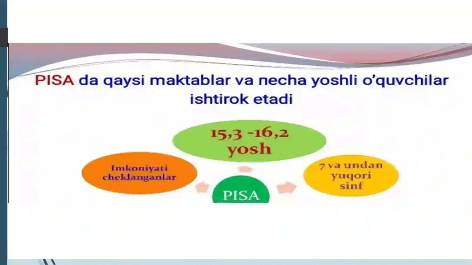 PISA TESTLAR 4