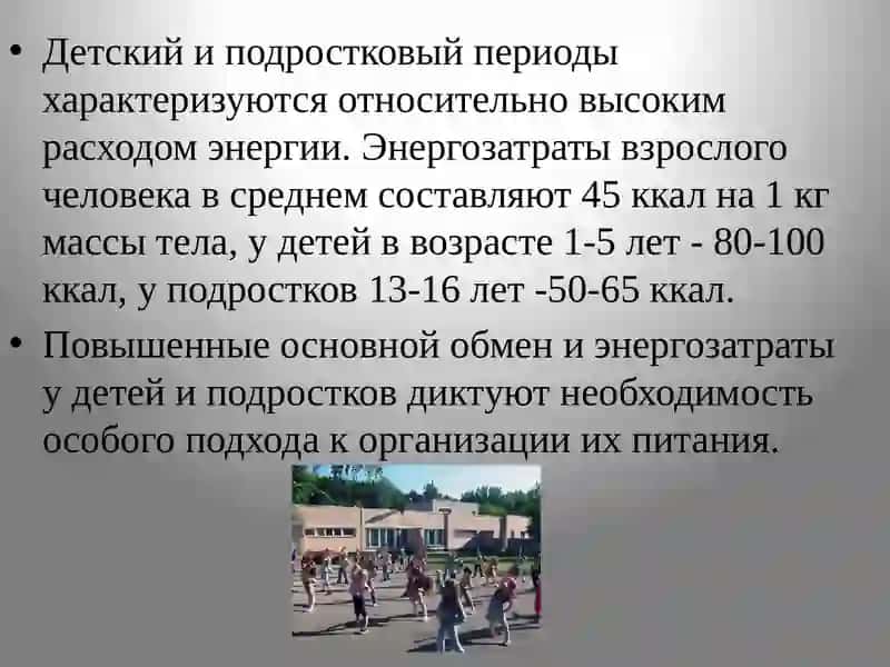 Основы питания детей и подростков 4