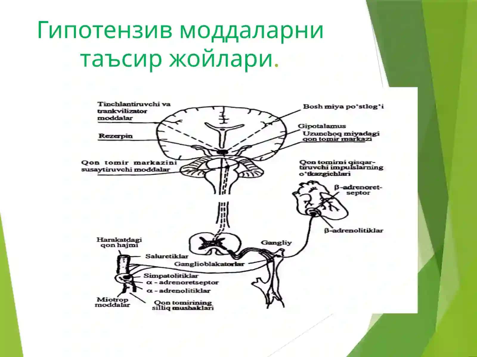 Гипертоник криз 4