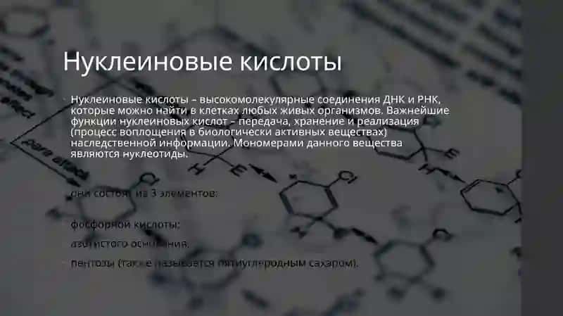 Профессиональная работа .Нуклеиновая кислота 4
