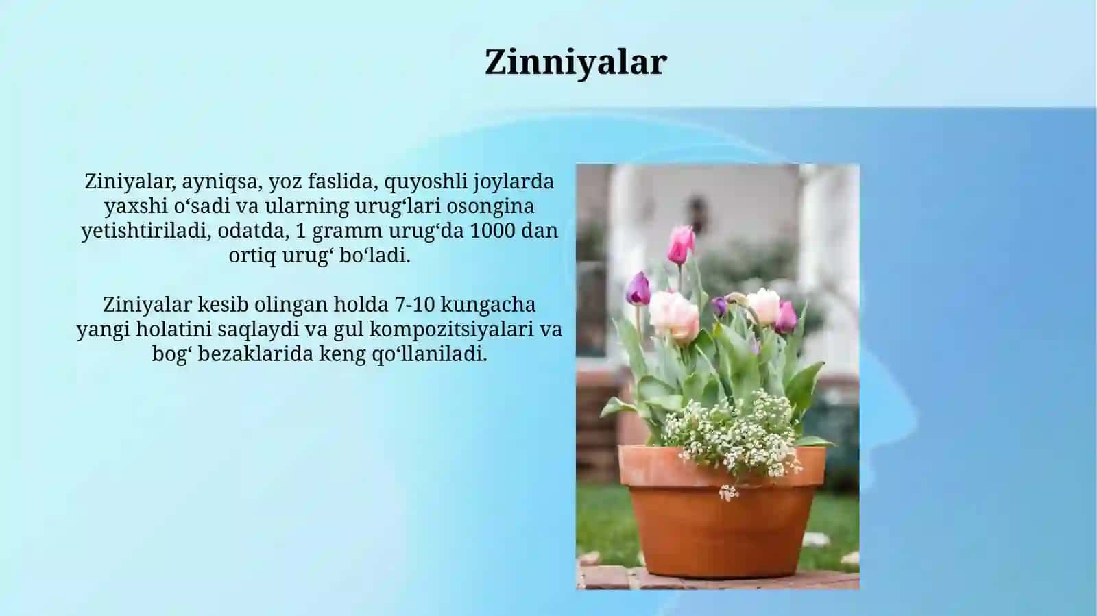 Mixaklar 4
