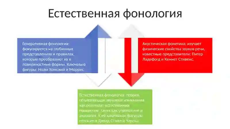 Школы фонологии и их представители 4