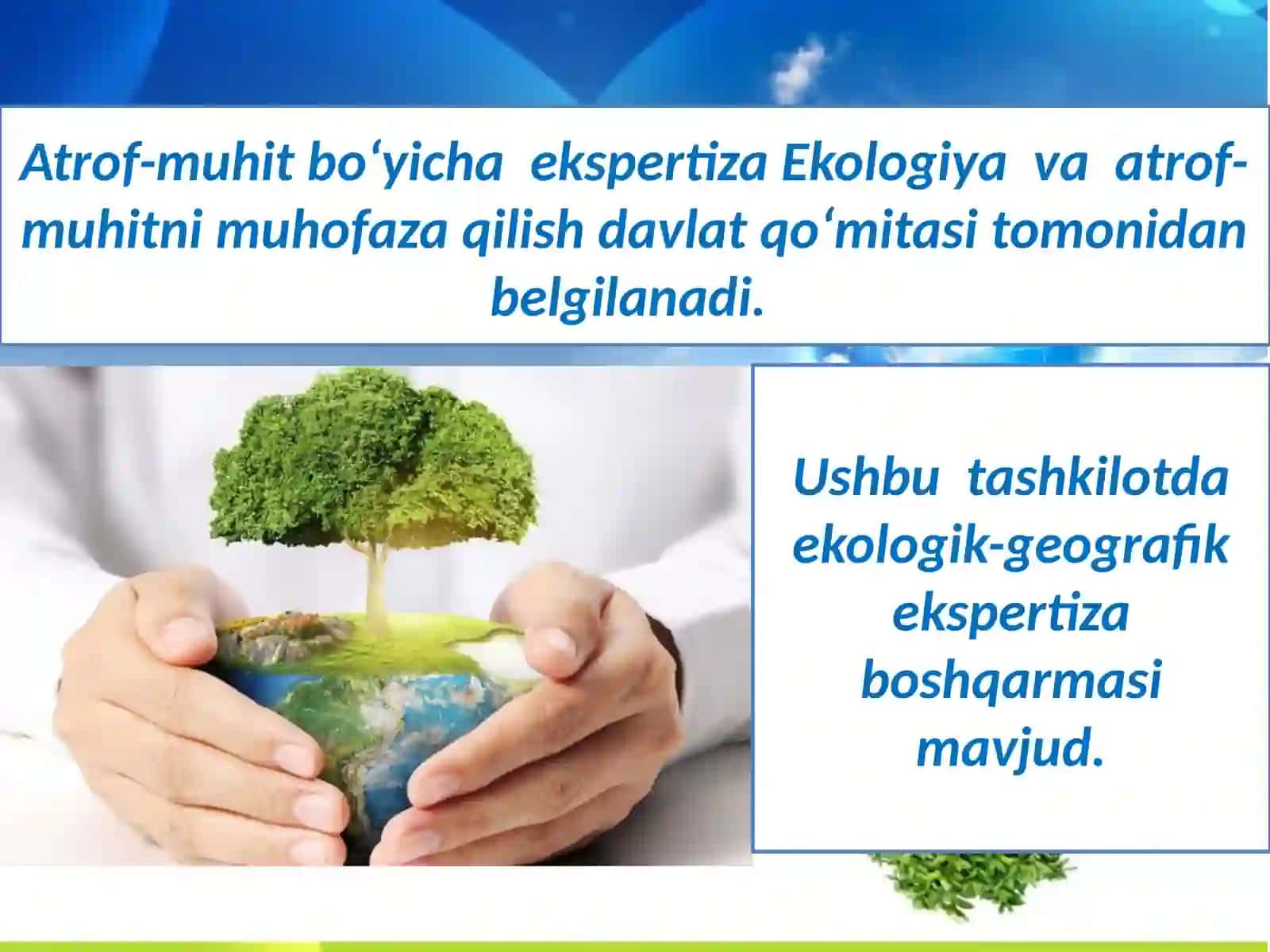 Ekologik ekspertiza 4