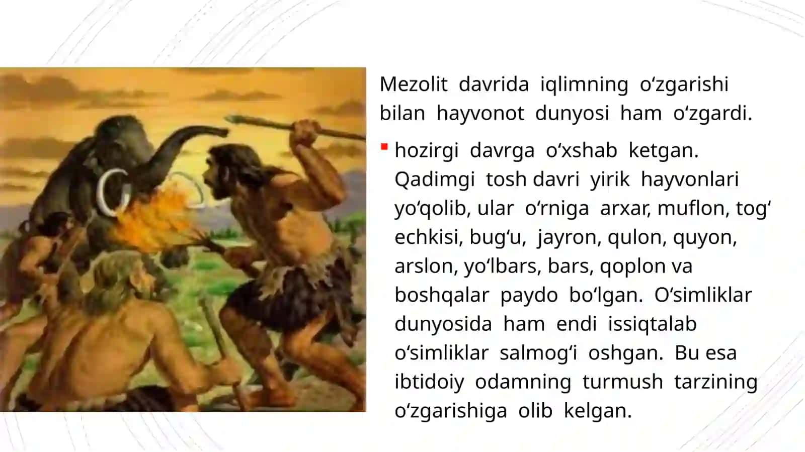 Mezalit davri tarixi 4