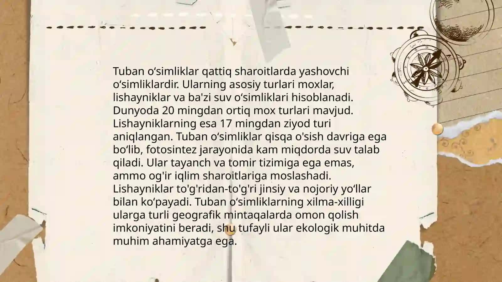 Tuban oʻsimliklar 4