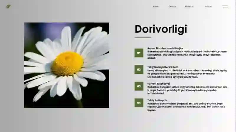 Dorivor o'simliklar 4
