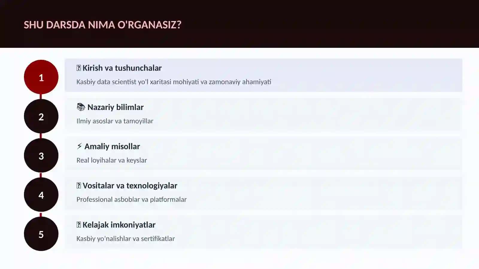 Kasbiy data scientist yo'l xaritasi 4