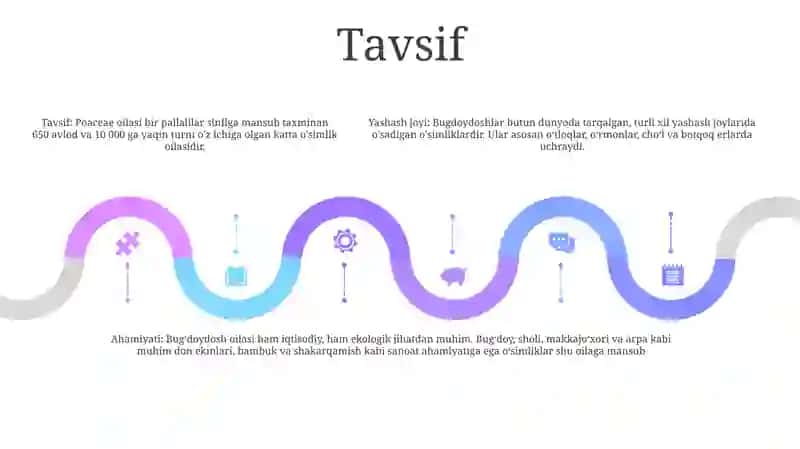 Buğdoydoshlar Oilasi 4