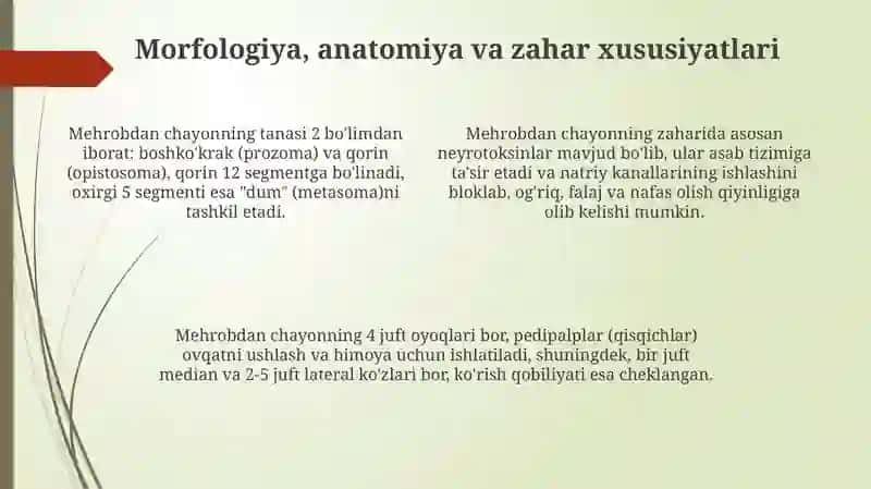 Mehrobdan chayon 4