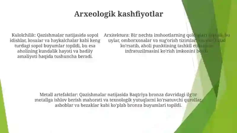 Baqtriyaning Bronza Davri Manzilgohlari 4