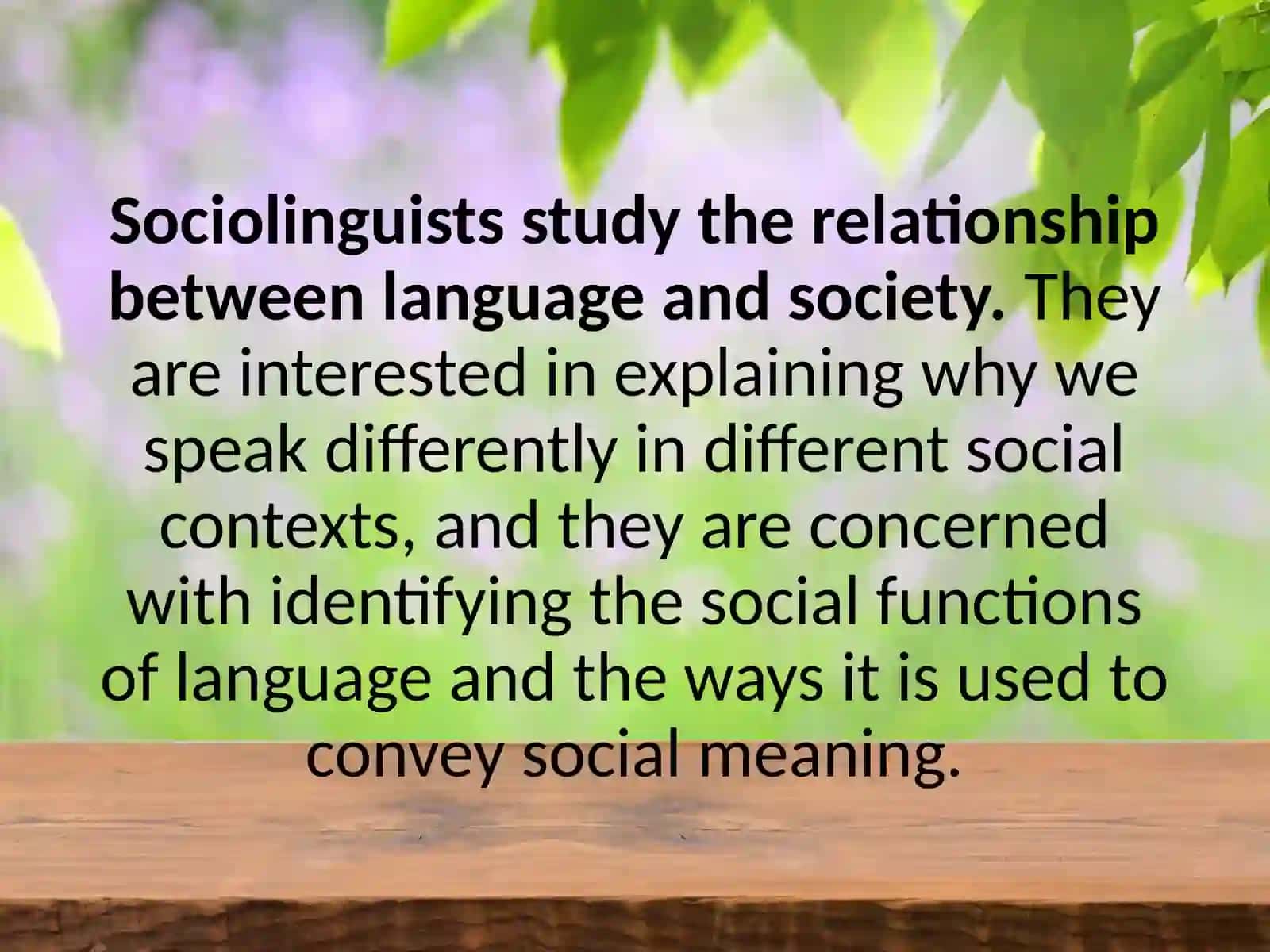 Introduction to Sociolinguistics 4