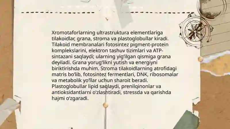 Pegment saqlaydigan plastidalar va xromotaforlar 4