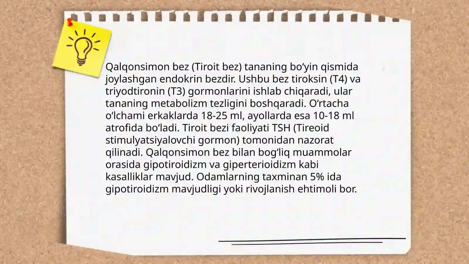 Endokrin bezlar 4