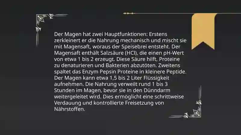 Die Verdauung 4