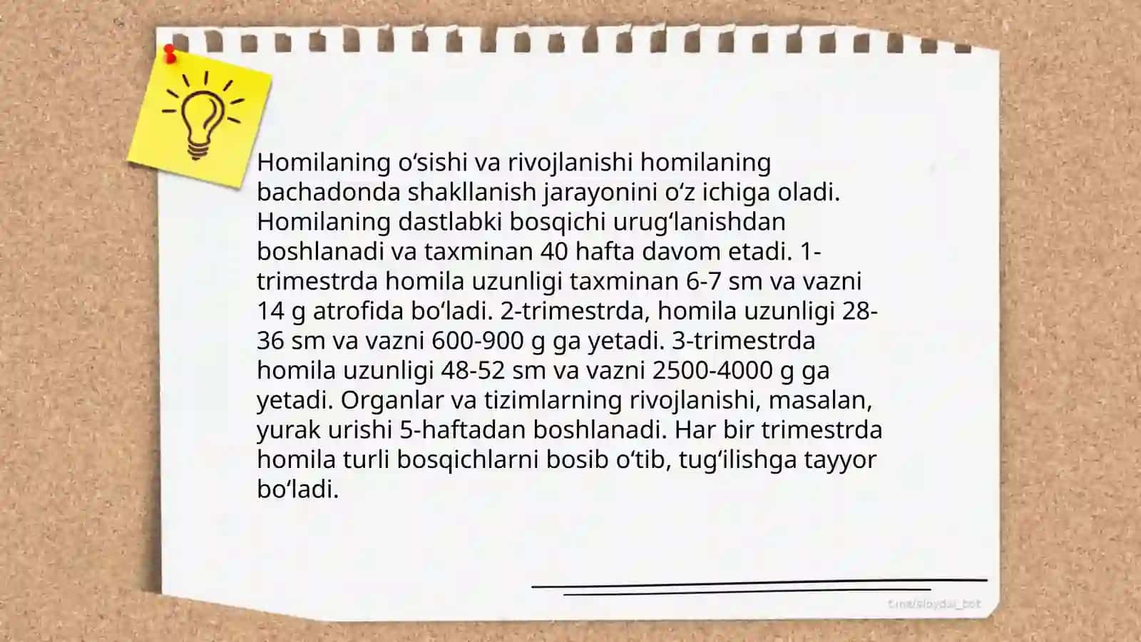 Prenatal va postnatal davrlar 4
