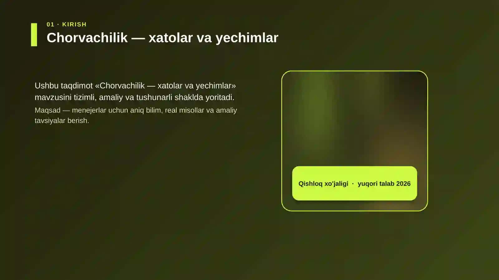 Chorvachilik — xatolar va yechimlar 4