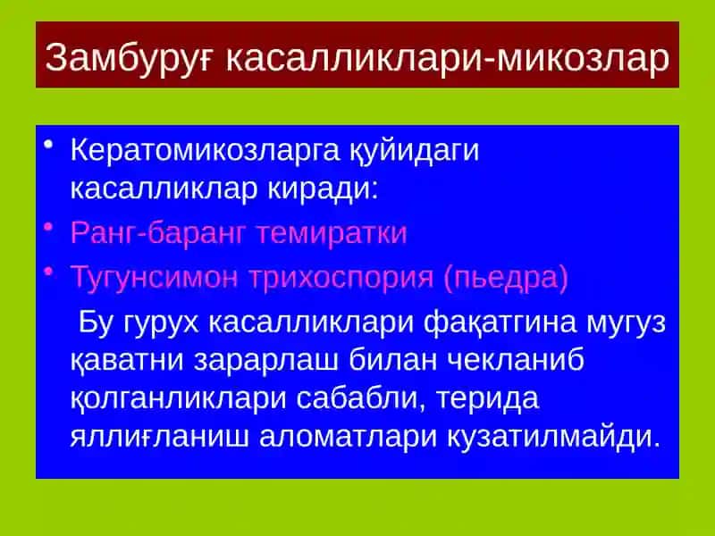 Терининг тузилиши, морфологик элементлари” 4