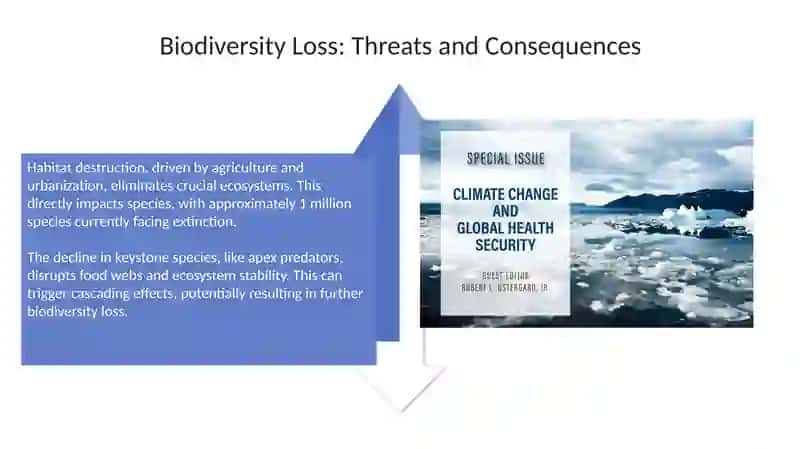 Environmental issues in global politics 4