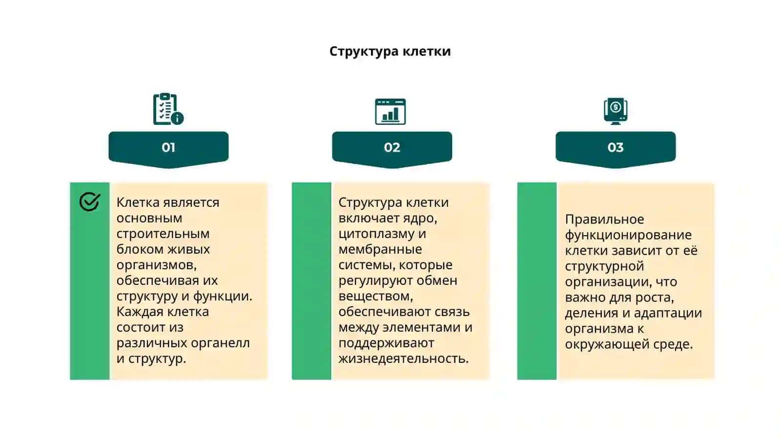 Клетка и её строение 4