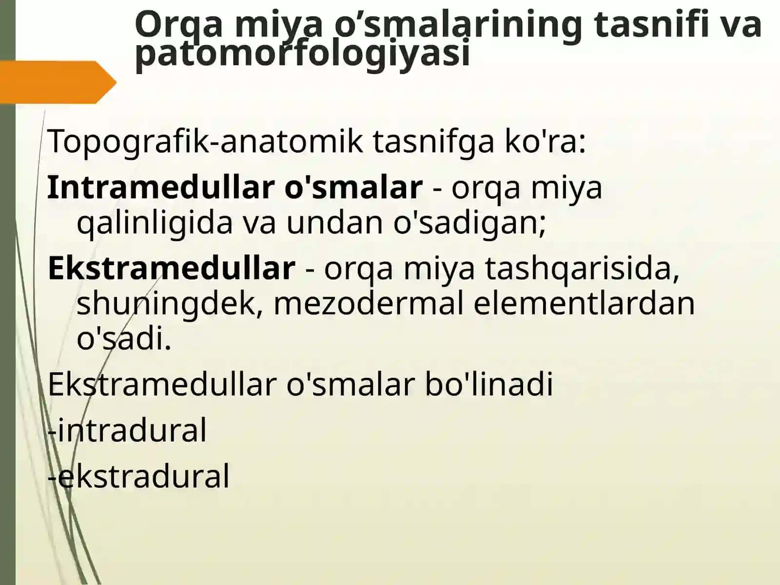 Orqa miya o’smalari 4