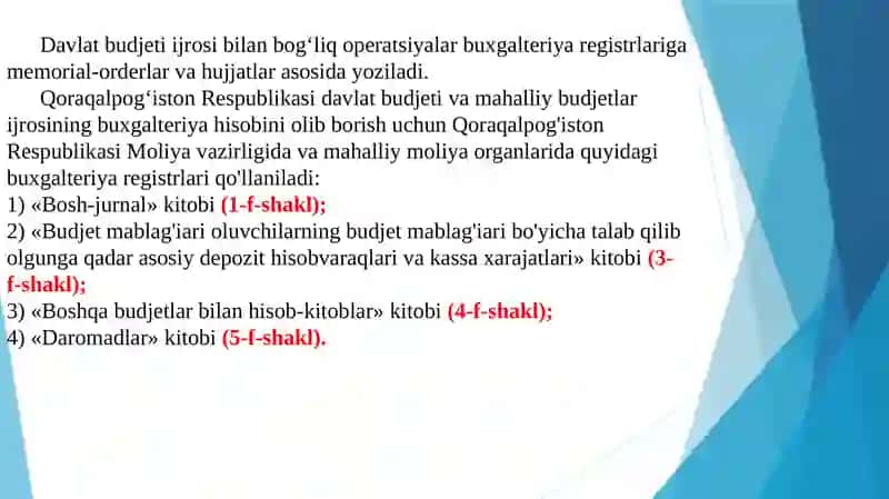 Davlat budjeti ijrosi hisobi 4