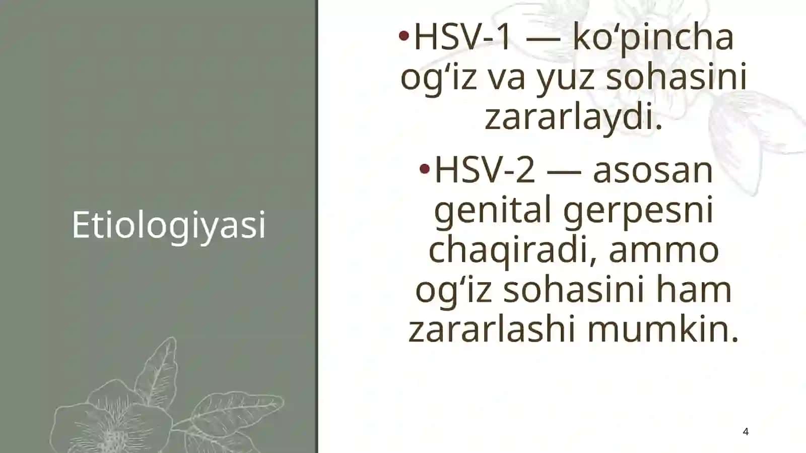 Virusli kasalliklarini namoyon bo‘lishi 4