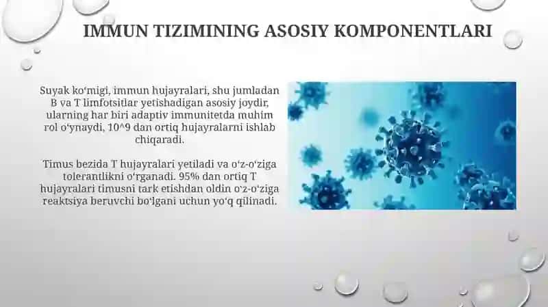 Immunitet va immun sistema 4
