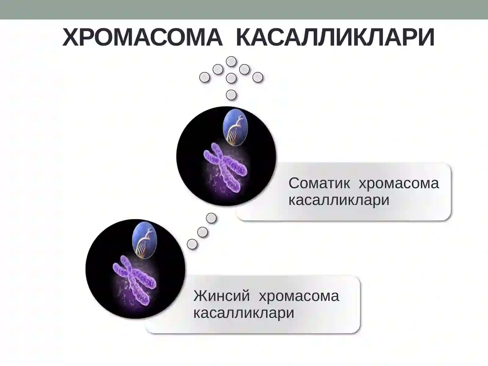 ИРСИЙ КАСАЛЛИКЛАР 4