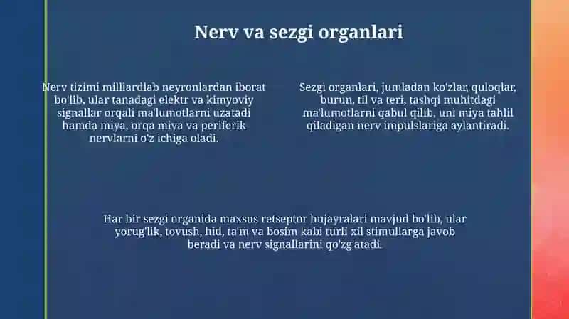 Odam anatomiyasi 4