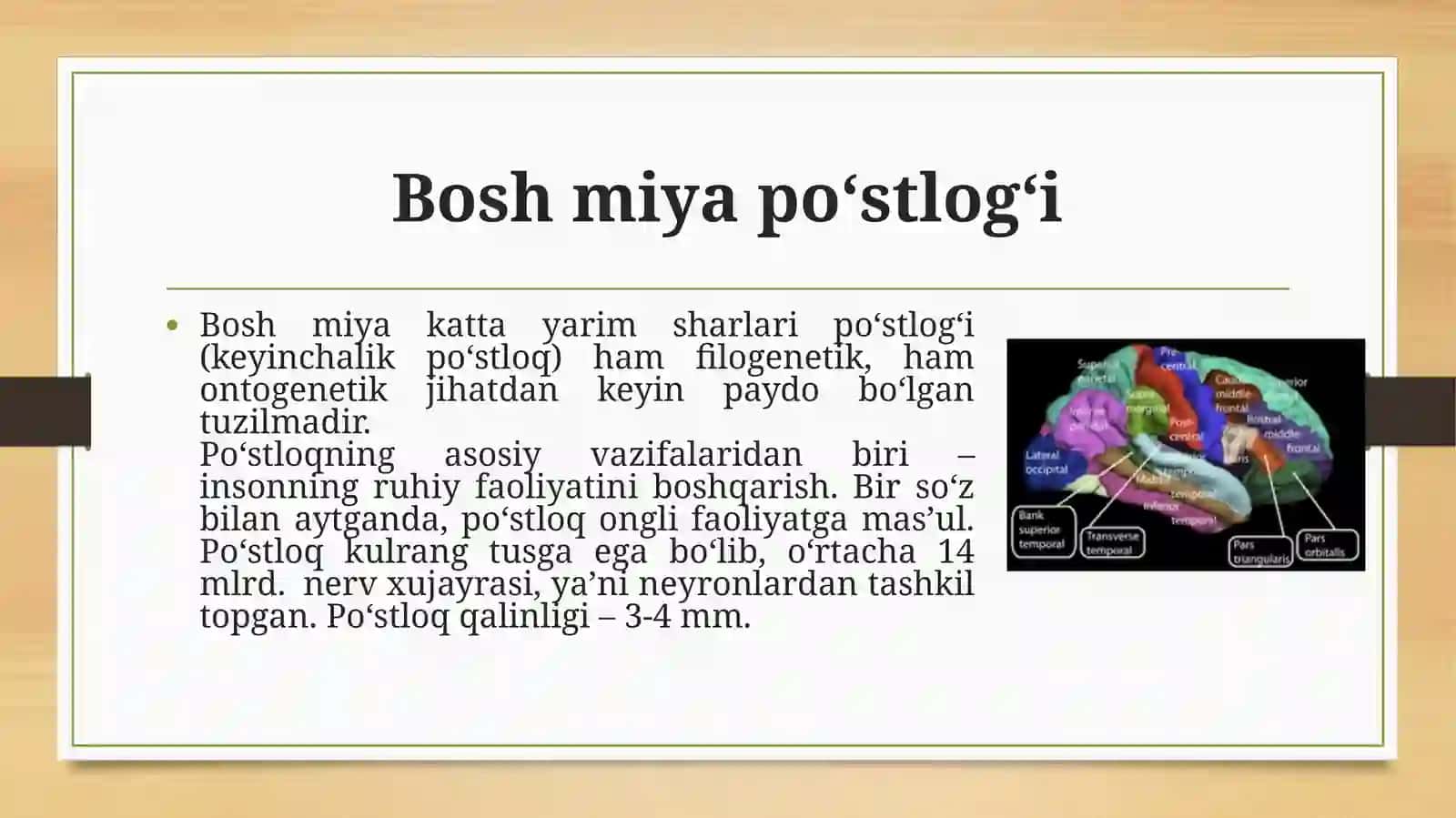 Bosh miya 4